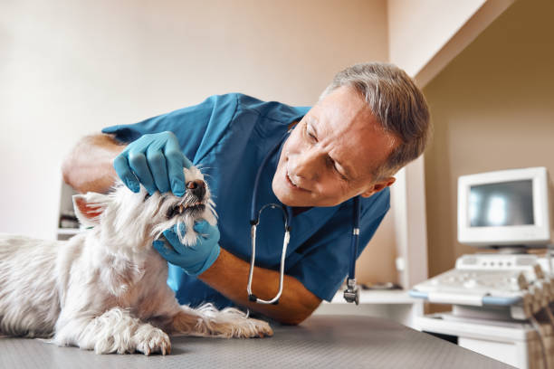 Best Pediatric Emergency Dentist in La Conner, WA